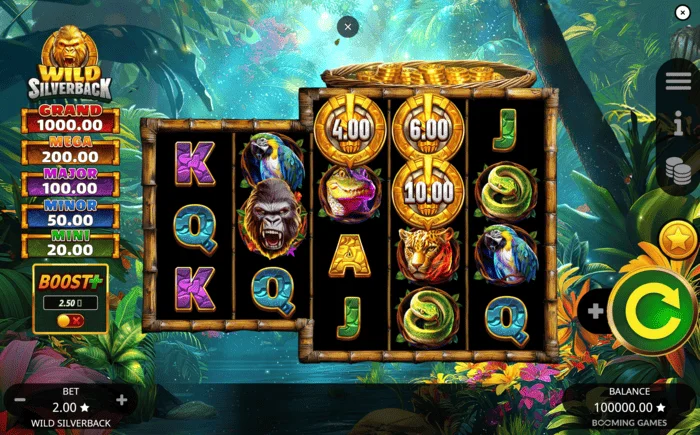 Wild Silverback - schermata di gioco principale con griglia 3-3-4-4-4